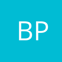 Brian Lewis Peterson